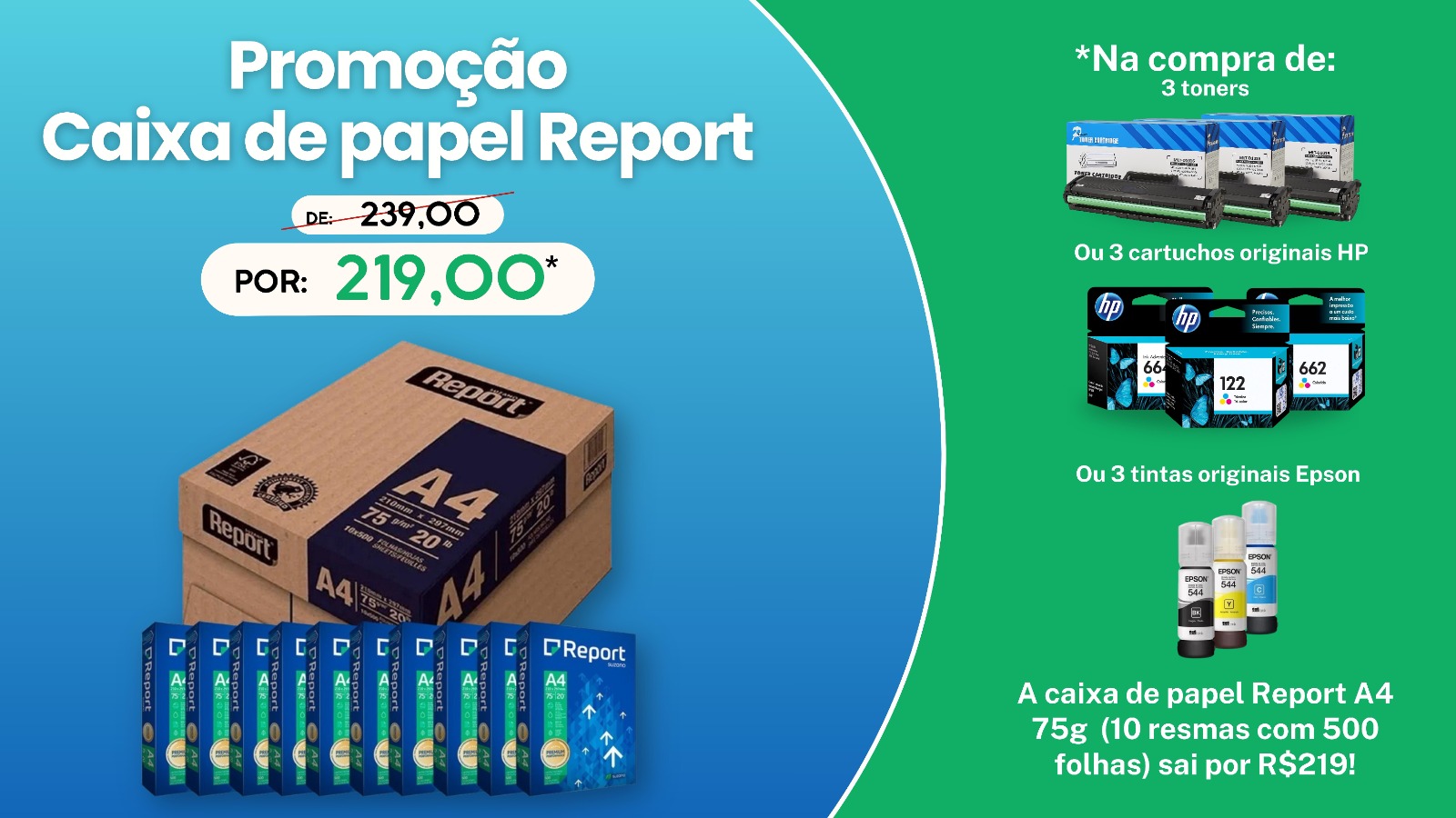 Papel report